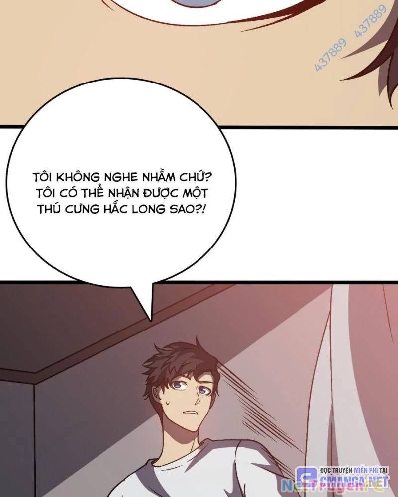 Bắt Đầu Kế Nhiệm Boss Hắc Long, Ta Vô Địch Chapter 16 - Trang 2