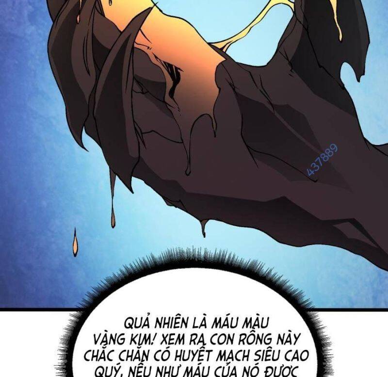 Bắt Đầu Kế Nhiệm Boss Hắc Long, Ta Vô Địch Chapter 25 - Trang 2