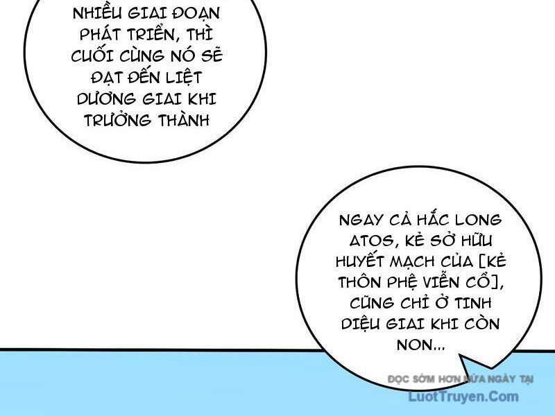 Bắt Đầu Kế Nhiệm Boss Hắc Long, Ta Vô Địch Chapter 82 - Trang 2