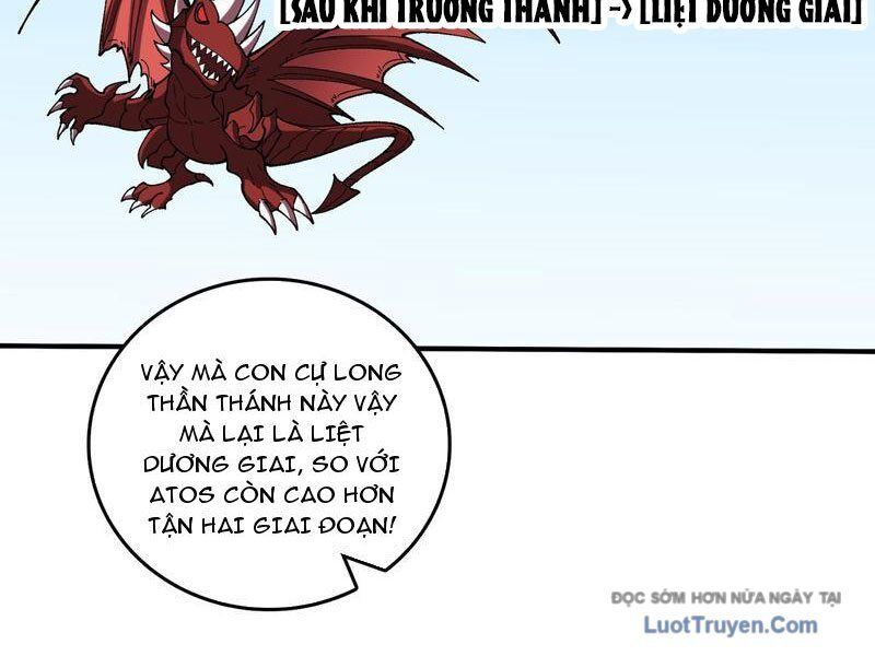 Bắt Đầu Kế Nhiệm Boss Hắc Long, Ta Vô Địch Chapter 82 - Trang 2