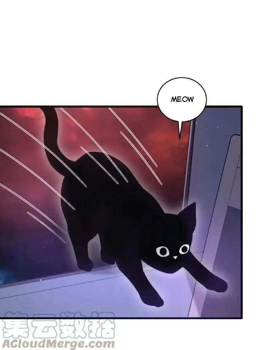 Bắt Đầu Livestream Ở Địa Phủ: Phát Sóng Trực Tiếp Ở Đây Ai Dám Đến Chapter 117 - Trang 2