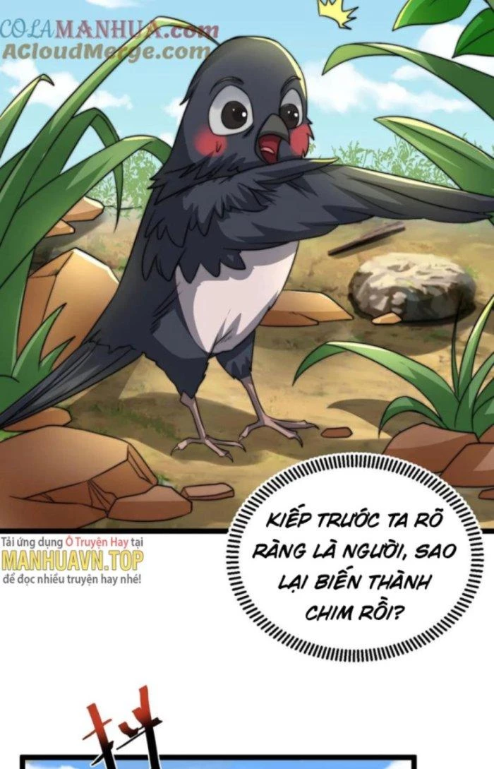 Bắt Đầu Livestream Ở Địa Phủ: Phát Sóng Trực Tiếp Ở Đây Ai Dám Đến Chapter 145 - Trang 2