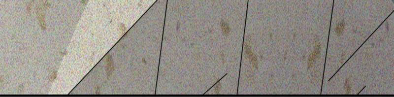 Bắt Đầu Livestream Ở Địa Phủ: Phát Sóng Trực Tiếp Ở Đây Ai Dám Đến Chapter 262 - Trang 2