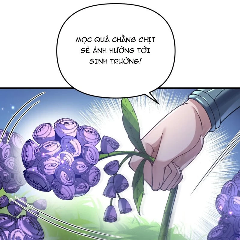 Bắt Đầu Tu Chân Từ Việc Trồng Ra Nữ Đế Yêu Tộc Chapter 1 - Trang 2