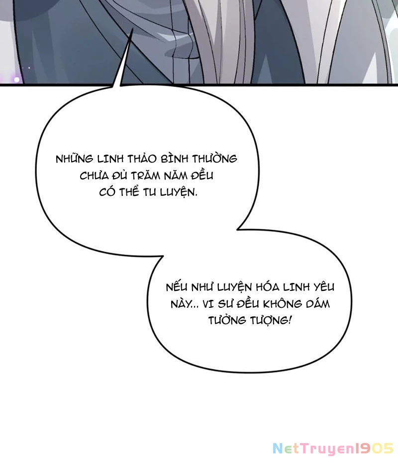 Bắt Đầu Tu Chân Từ Việc Trồng Ra Nữ Đế Yêu Tộc Chapter 2 - Trang 2