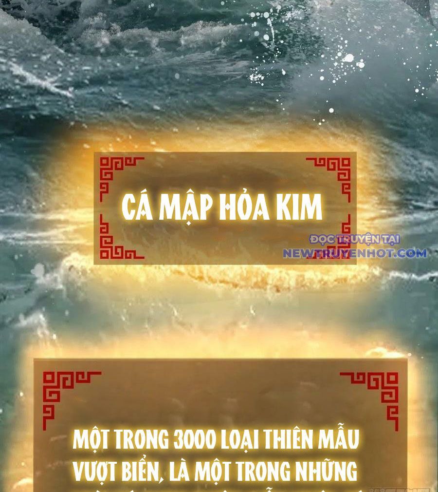 Bắt Đầu Từ Cửu Đầu Điểu Chapter 166 - Trang 2