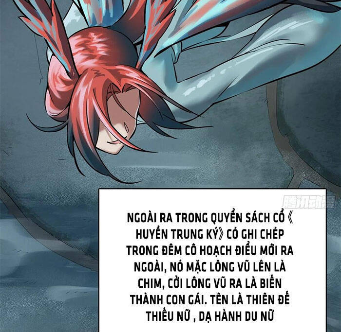 Bắt Đầu Từ Cửu Đầu Điểu Chapter 19 - Trang 2