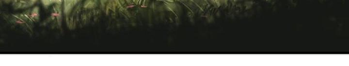 Bắt Đầu Từ Cửu Đầu Điểu Chapter 240 - Trang 2