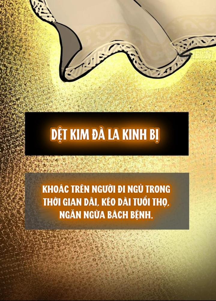 Bắt Đầu Từ Cửu Đầu Điểu Chapter 244 - Trang 2