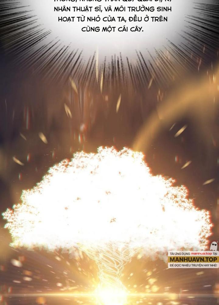 Bắt Đầu Từ Cửu Đầu Điểu Chapter 245 - Trang 2