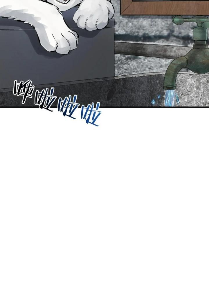 Bắt Đầu Từ Cửu Đầu Điểu Chapter 246 - Trang 2