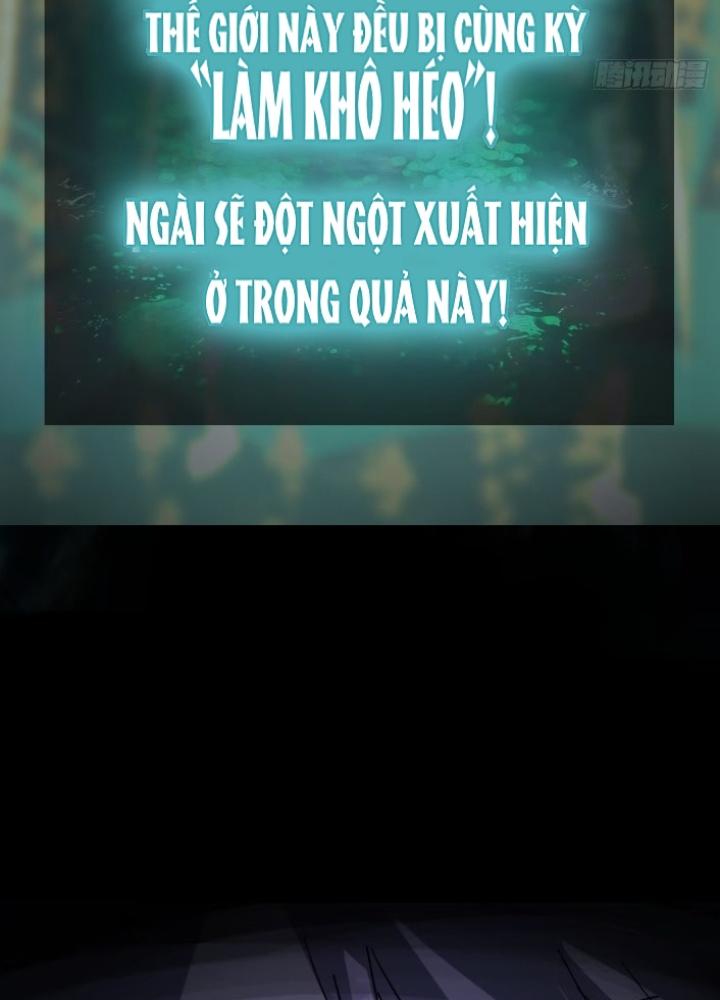 Bắt Đầu Từ Cửu Đầu Điểu Chapter 251 - Trang 2