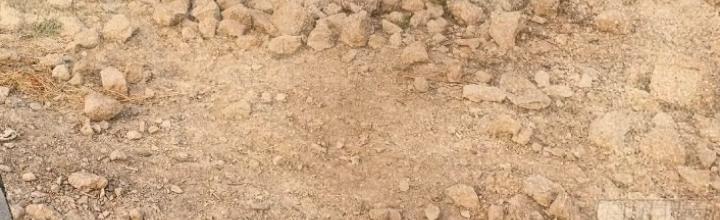 Bắt Đầu Từ Cửu Đầu Điểu Chapter 257 - Trang 2