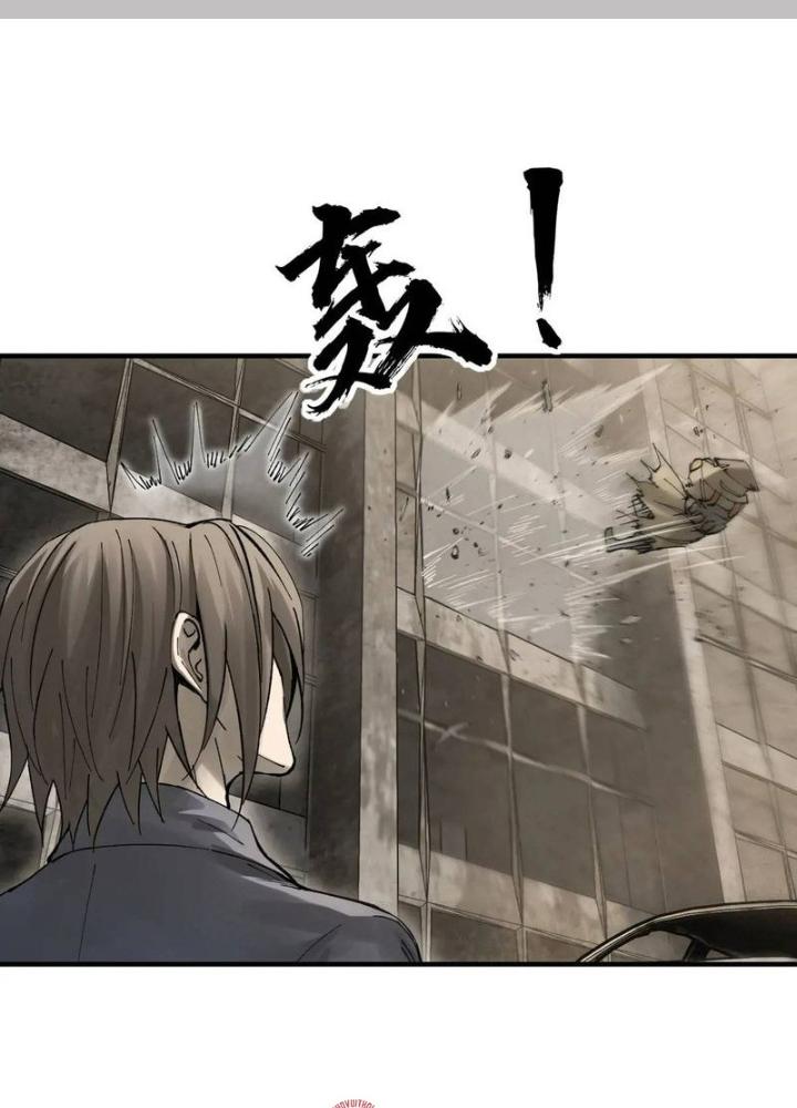 Bắt Đầu Từ Cửu Đầu Điểu Chapter 267 - Trang 2