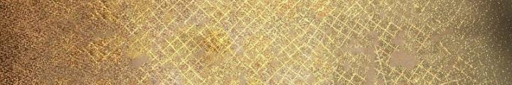 Bắt Đầu Từ Cửu Đầu Điểu Chapter 268 - Trang 2