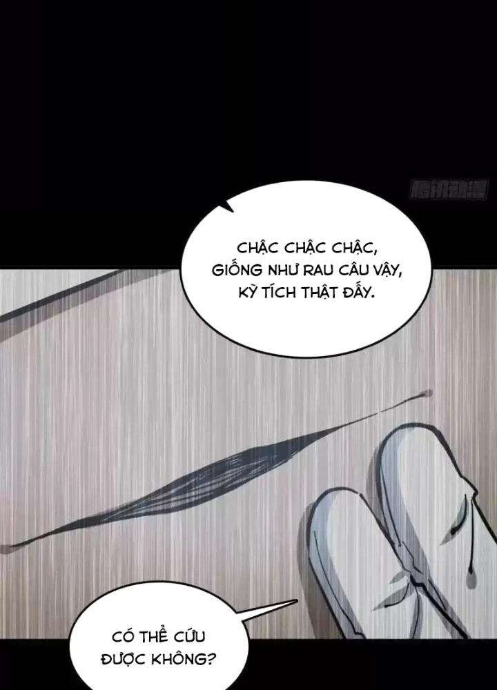 Bắt Đầu Từ Cửu Đầu Điểu Chapter 269 - Trang 2