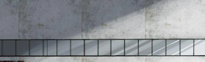 Bắt Đầu Từ Cửu Đầu Điểu Chapter 289 - Trang 2