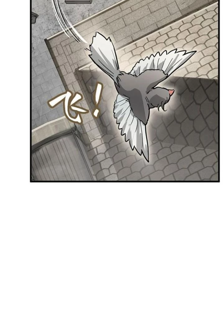 Bắt Đầu Từ Cửu Đầu Điểu Chapter 290 - Trang 2