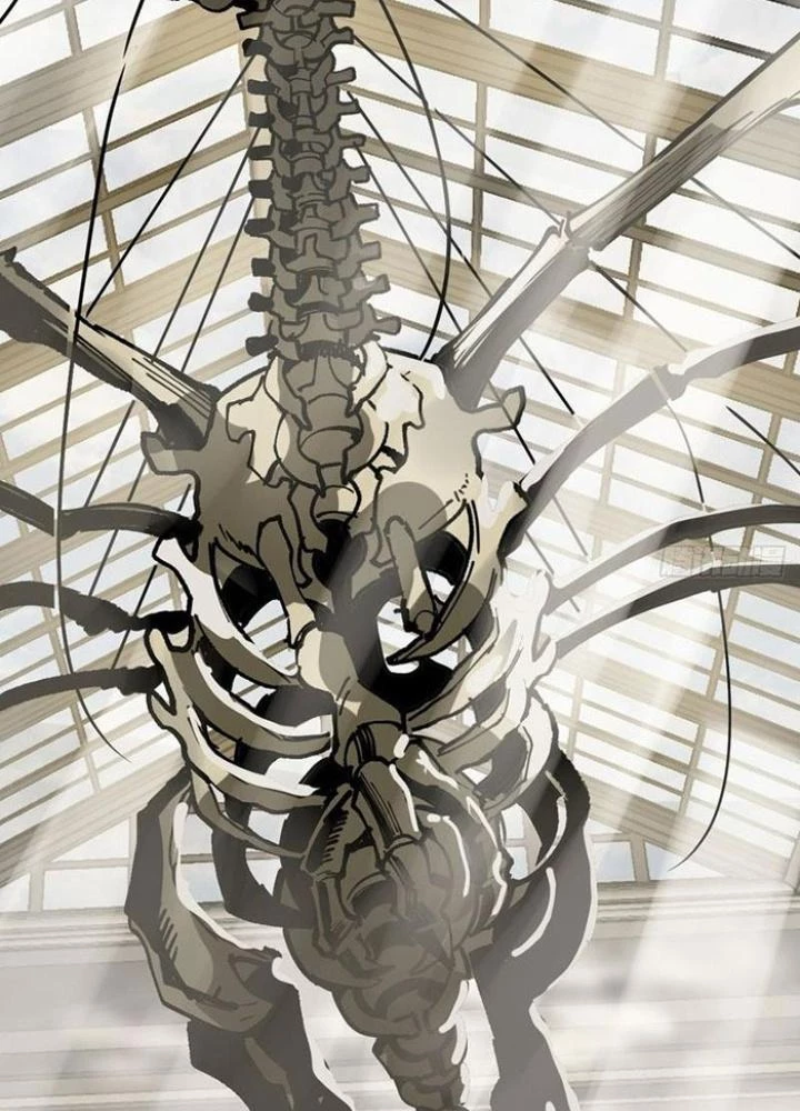 Bắt Đầu Từ Cửu Đầu Điểu Chapter 290 - Trang 2