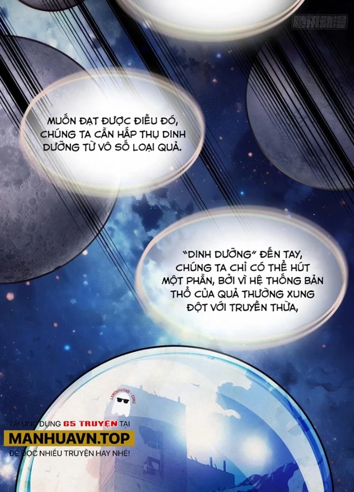 Bắt Đầu Từ Cửu Đầu Điểu Chapter 292 - Trang 2