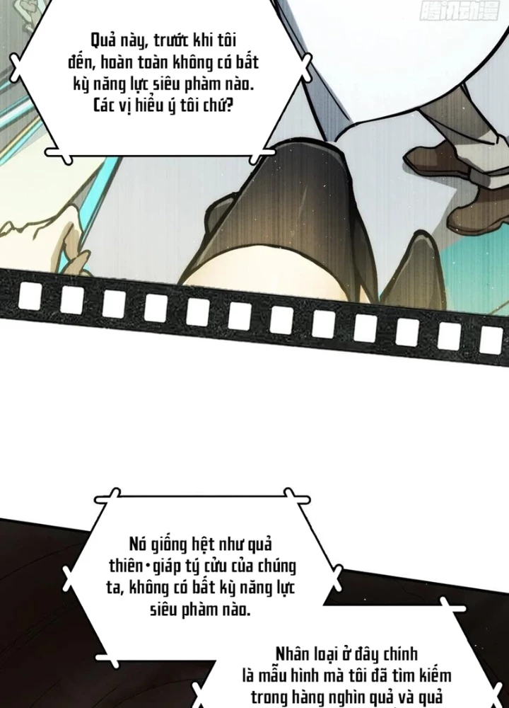 Bắt Đầu Từ Cửu Đầu Điểu Chapter 293 - Trang 2