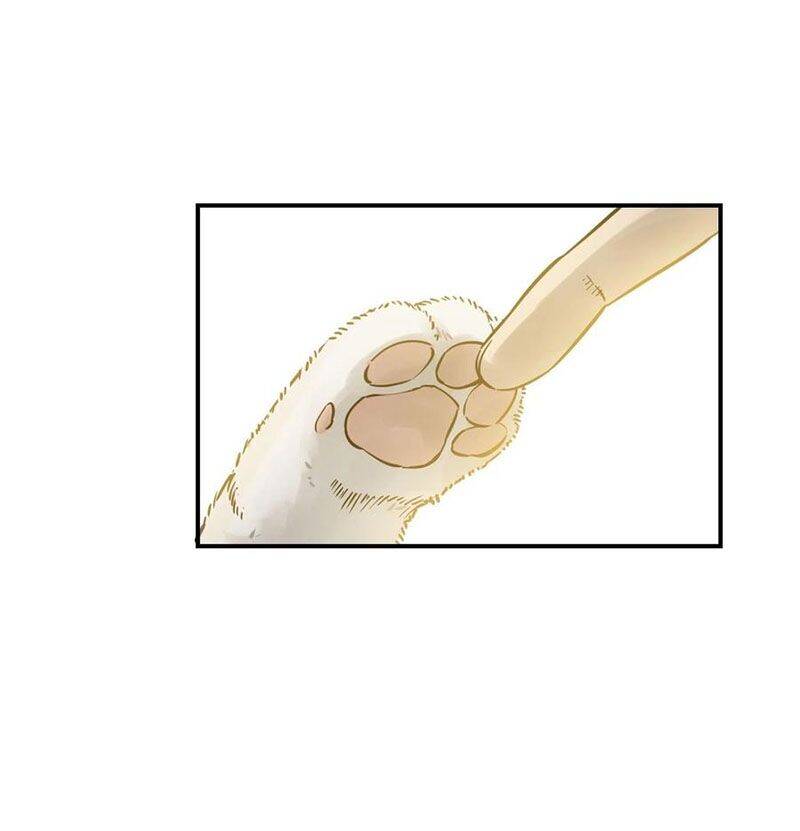 Bắt Đầu Từ Cửu Đầu Điểu Chapter 94 - Trang 2