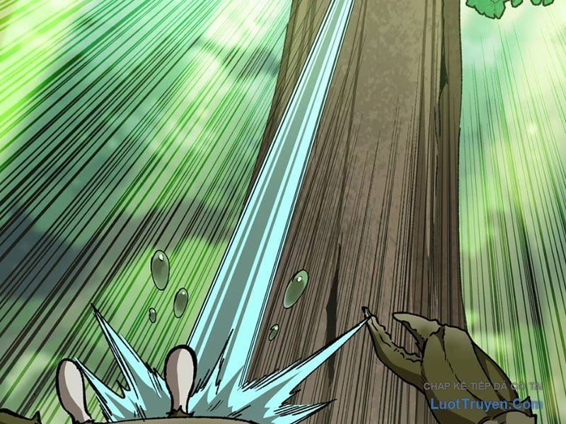 Bắt Đầu Từ Việc Trùng Sinh Thành Niêm Khuẩn Chapter 5 - Trang 2