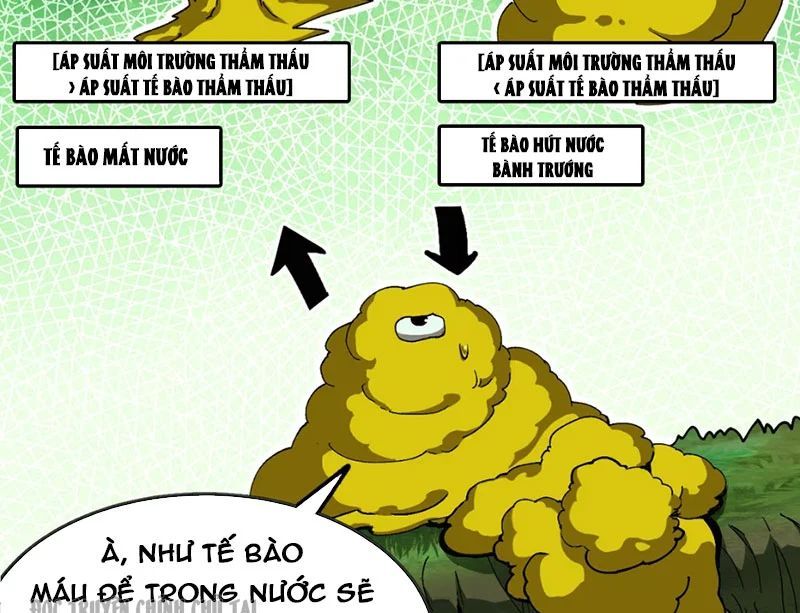 Bắt Đầu Từ Việc Trùng Sinh Thành Niêm Khuẩn Chapter 5 - Trang 2