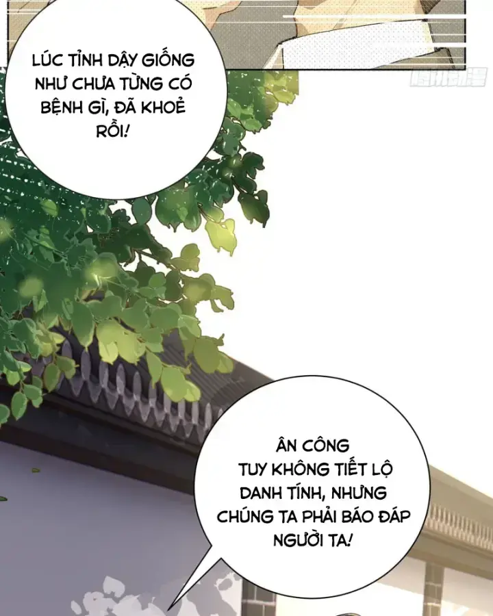 Bắt Đầu Vô Địch Từ Trúc Cơ Chapter 4 - Trang 2