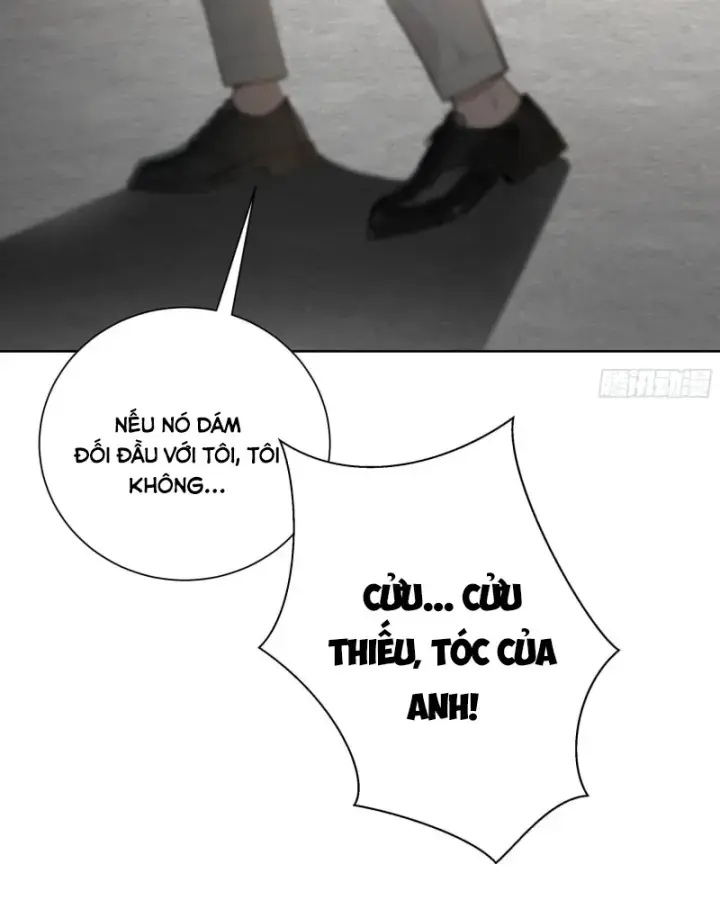 Bắt Đầu Vô Địch Từ Trúc Cơ Chapter 5 - Trang 2