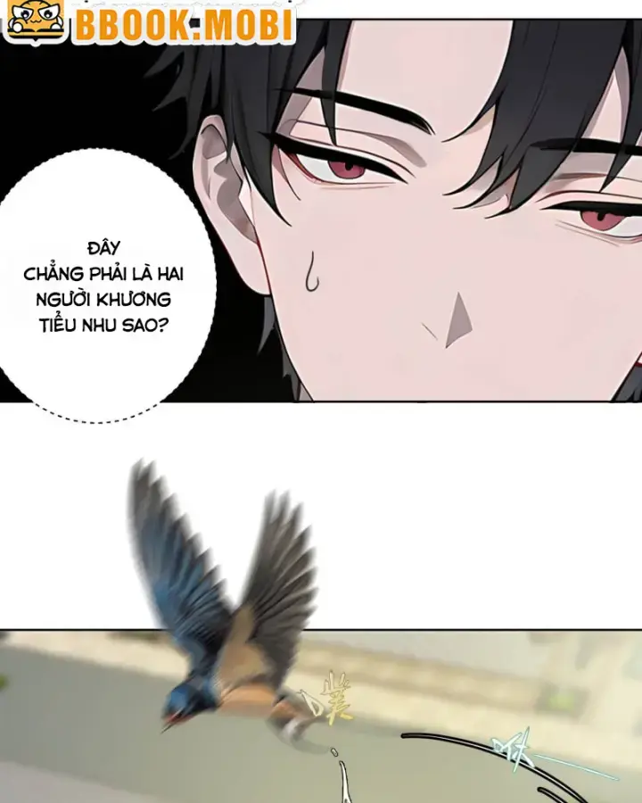 Bắt Đầu Vô Địch Từ Trúc Cơ Chapter 5 - Trang 2