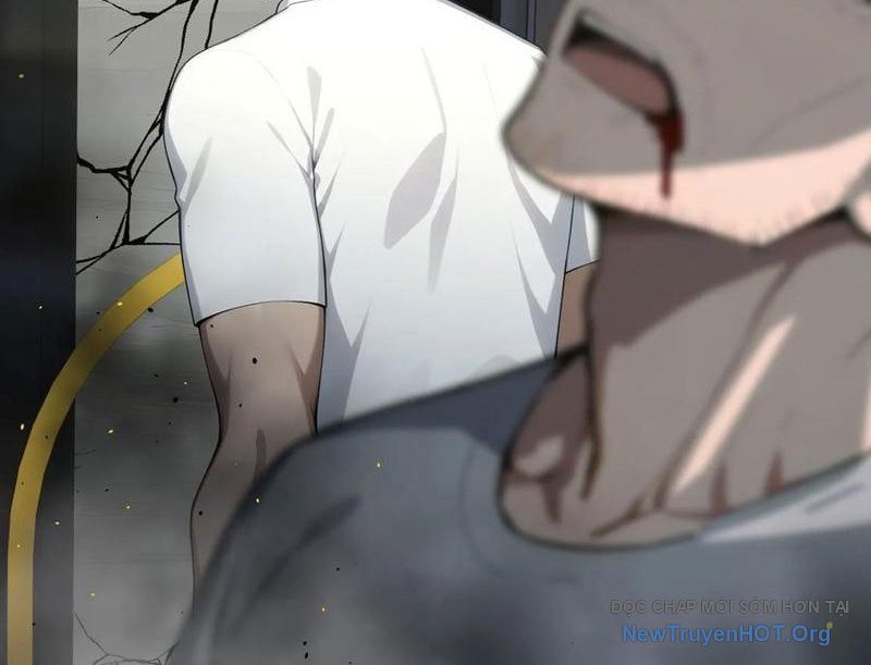 Bắt Đầu Vô Địch Từ Trúc Cơ Chapter 53 - Trang 2