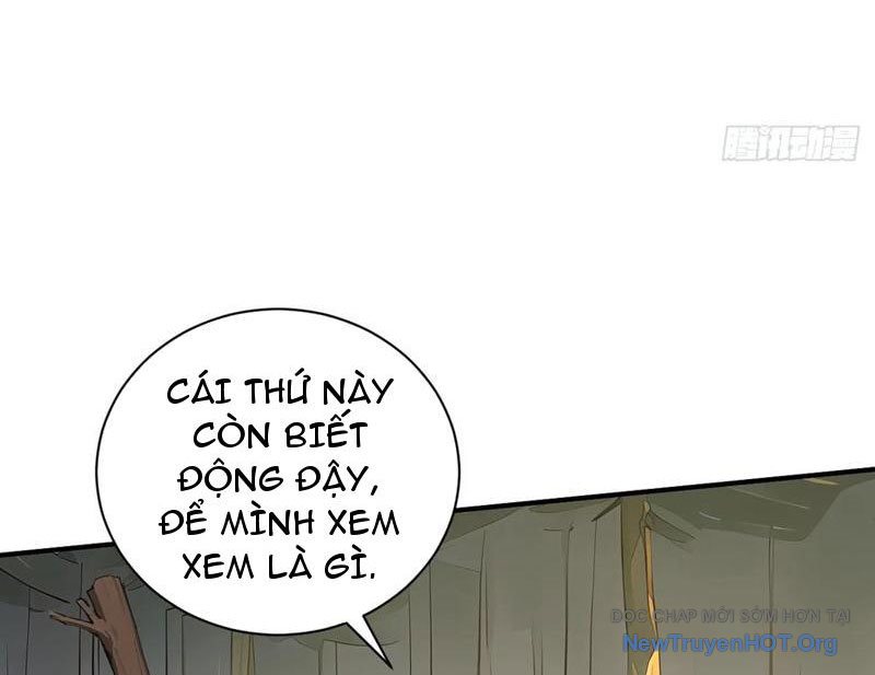 Bắt Đầu Vô Địch Từ Trúc Cơ Chapter 53 - Trang 2
