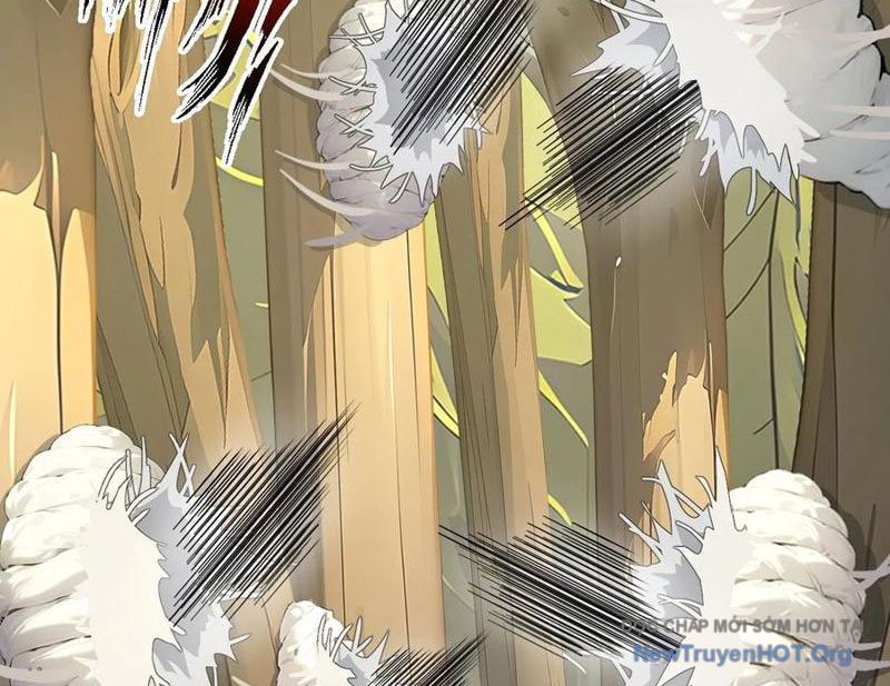 Bắt Đầu Vô Địch Từ Trúc Cơ Chapter 53 - Trang 2