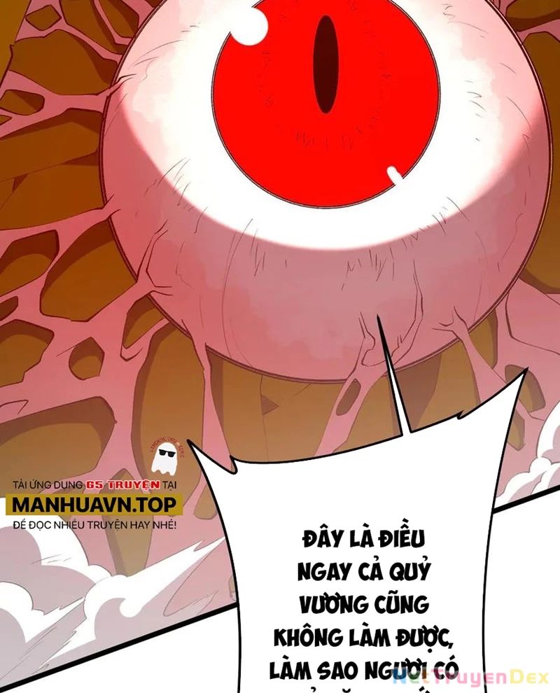 Bắt Đầu Với Trăm Vạn Minh Tệ Chapter 205 - Trang 2