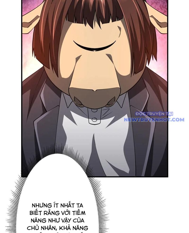 Bắt Đầu Với Trăm Vạn Minh Tệ Chapter 210 - Trang 2