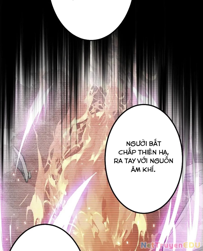 Bắt Đầu Với Trăm Vạn Minh Tệ Chapter 217 - Trang 2