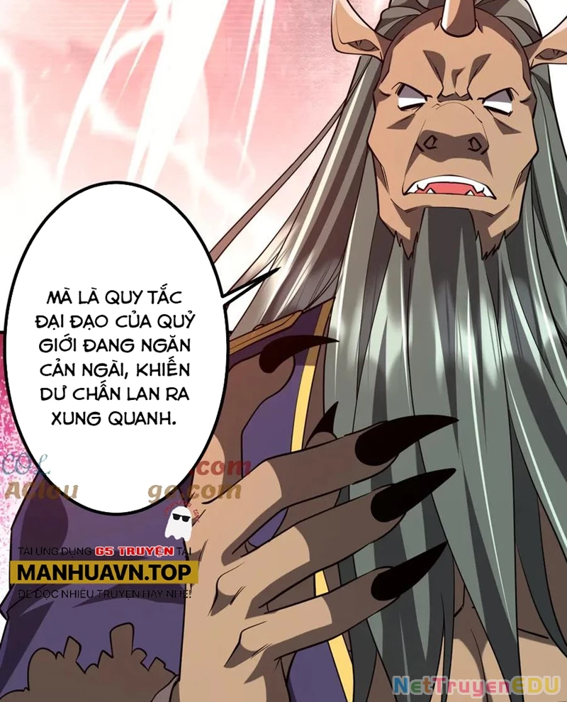 Bắt Đầu Với Trăm Vạn Minh Tệ Chapter 217 - Trang 2