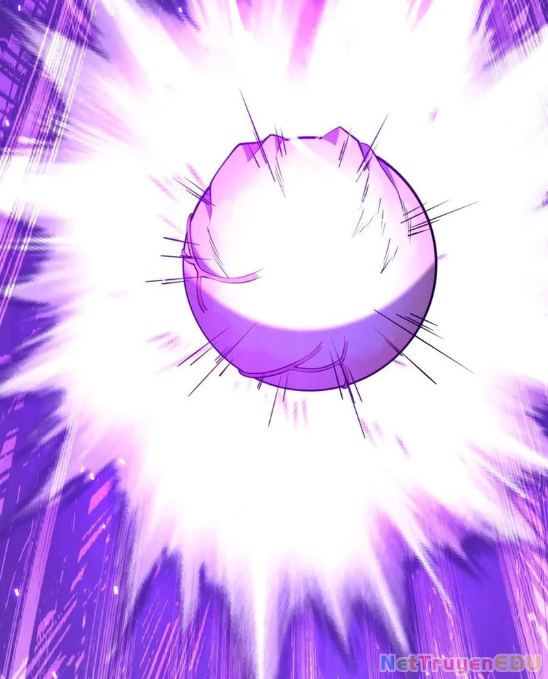 Bắt Đầu Với Trăm Vạn Minh Tệ Chapter 217 - Trang 2