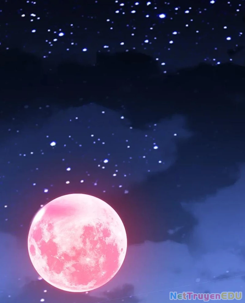 Bắt Đầu Với Trăm Vạn Minh Tệ Chapter 217 - Trang 2