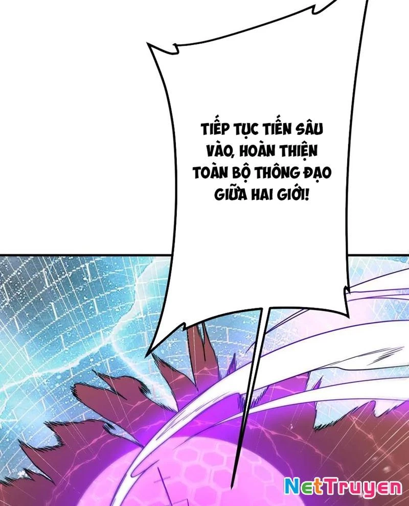 Bắt Đầu Với Trăm Vạn Minh Tệ Chapter 240 - Trang 2