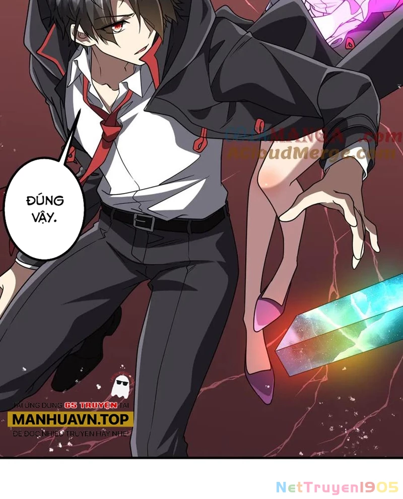 Bắt Đầu Với Trăm Vạn Minh Tệ Chapter 240 - Trang 2