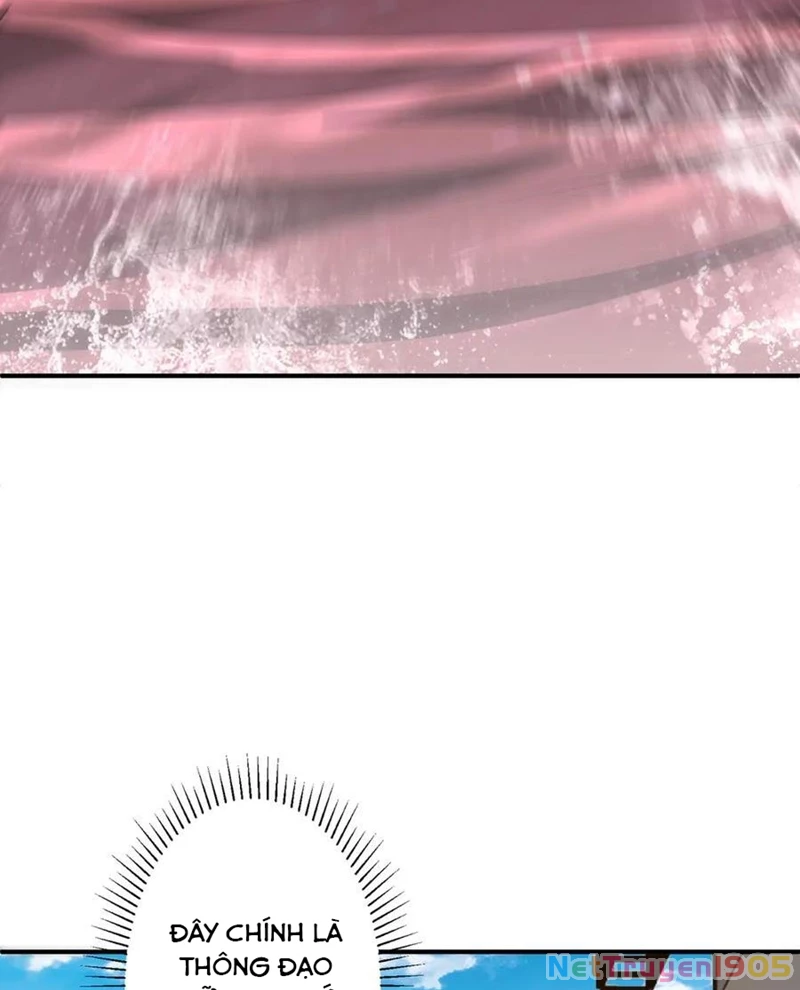 Bắt Đầu Với Trăm Vạn Minh Tệ Chapter 240 - Trang 2