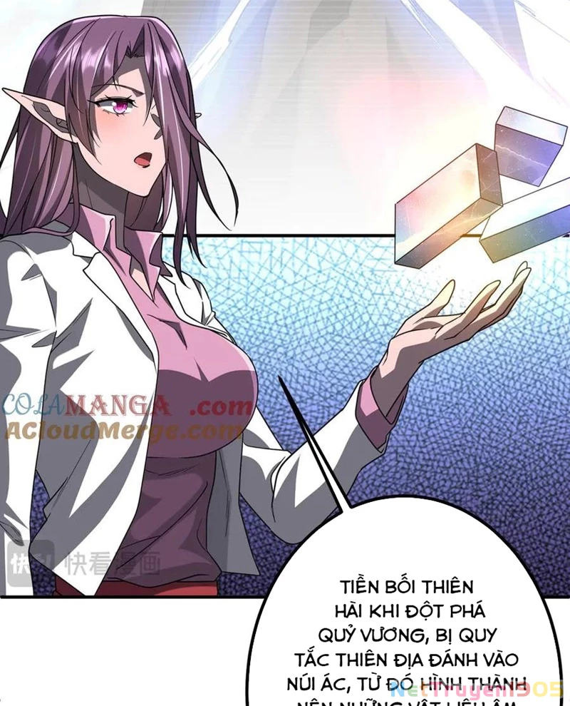 Bắt Đầu Với Trăm Vạn Minh Tệ Chapter 240 - Trang 2