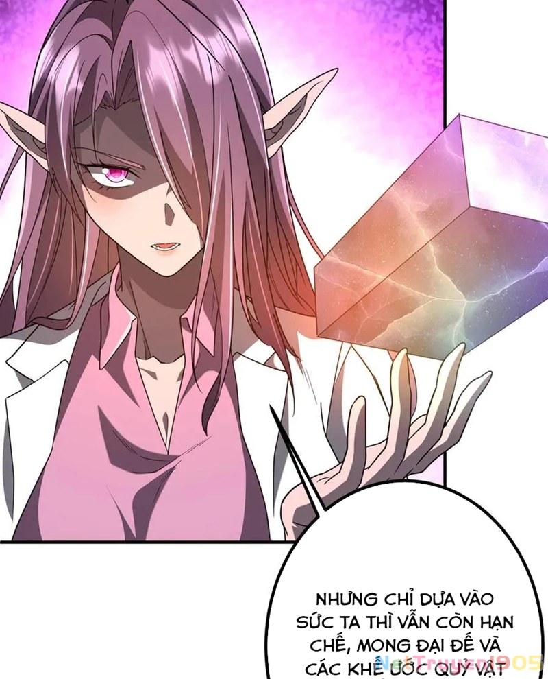 Bắt Đầu Với Trăm Vạn Minh Tệ Chapter 240 - Trang 2