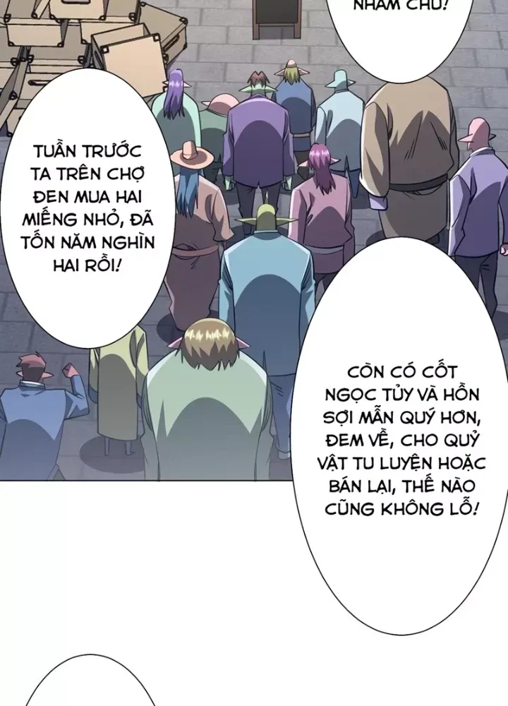 Bắt Đầu Với Trăm Vạn Minh Tệ Chapter 271 - Trang 2