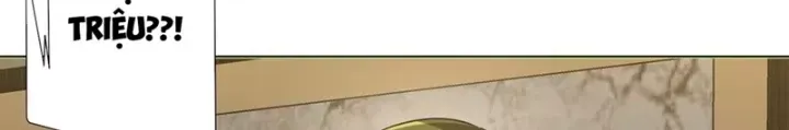 Bắt Đầu Với Trăm Vạn Minh Tệ Chapter 271 - Trang 2