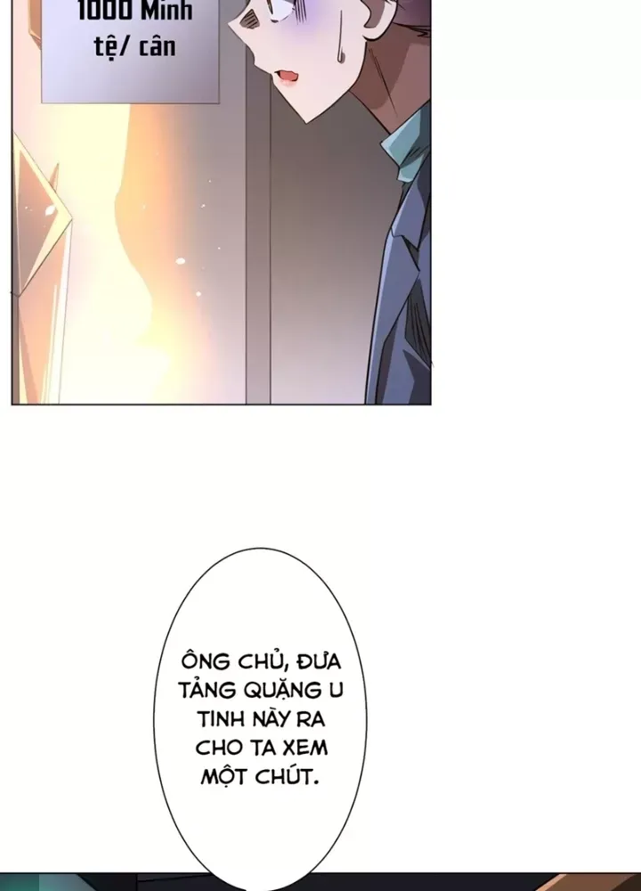 Bắt Đầu Với Trăm Vạn Minh Tệ Chapter 271 - Trang 2