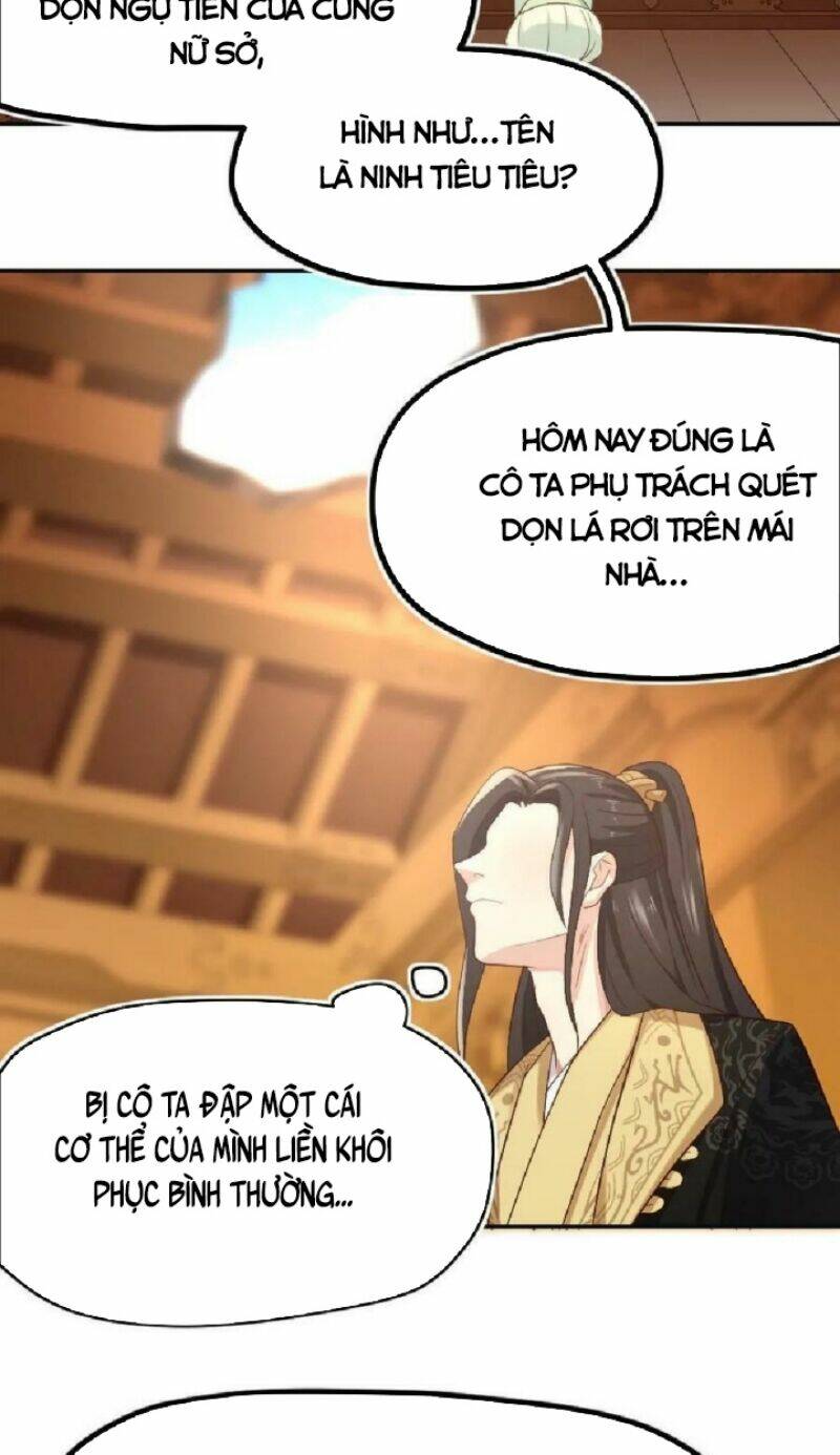 Bắt Ta Làm Cung Nữ? Ta Liền Cho Bạo Quân Quỳ Ván Giặt Đồ!!!! Chapter 1 - Trang 2