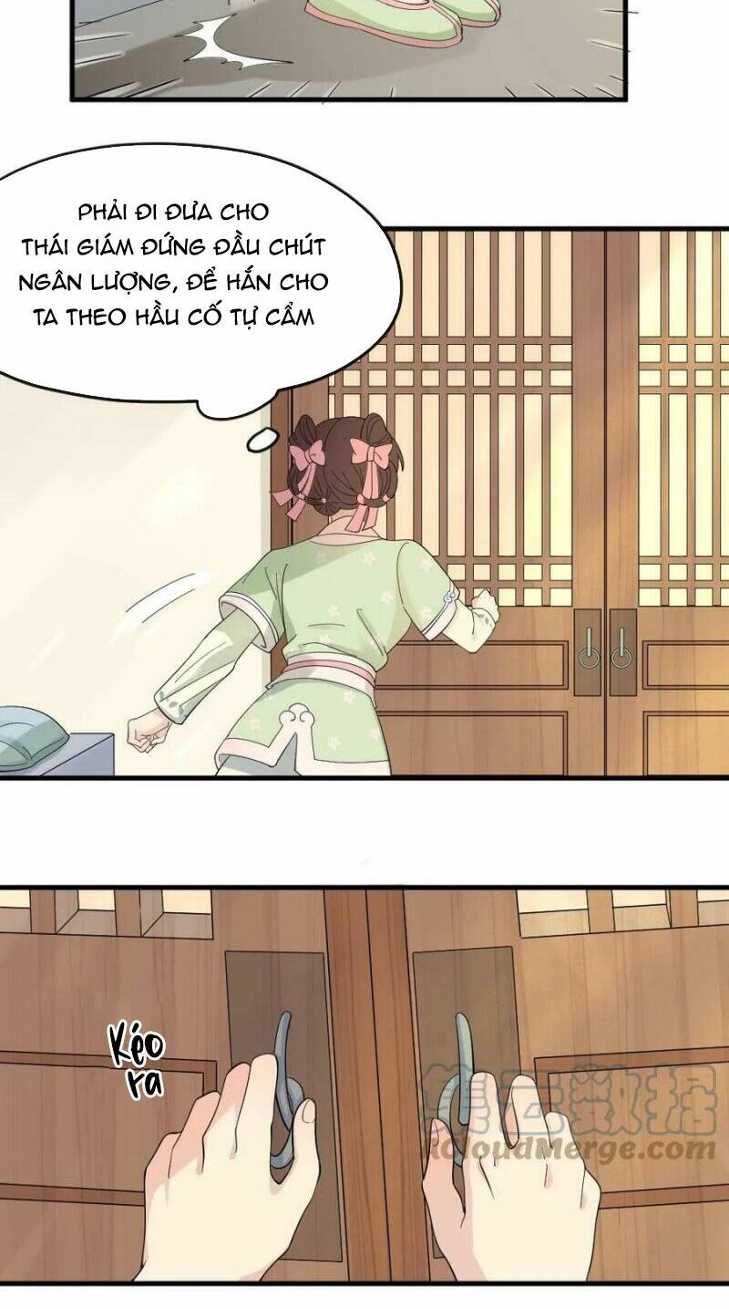 Bắt Ta Làm Cung Nữ? Ta Liền Cho Bạo Quân Quỳ Ván Giặt Đồ!!!! Chapter 13 - Trang 2